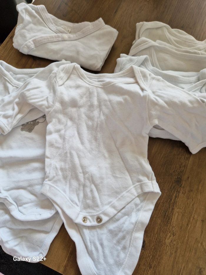 Boddies - photo numéro 4