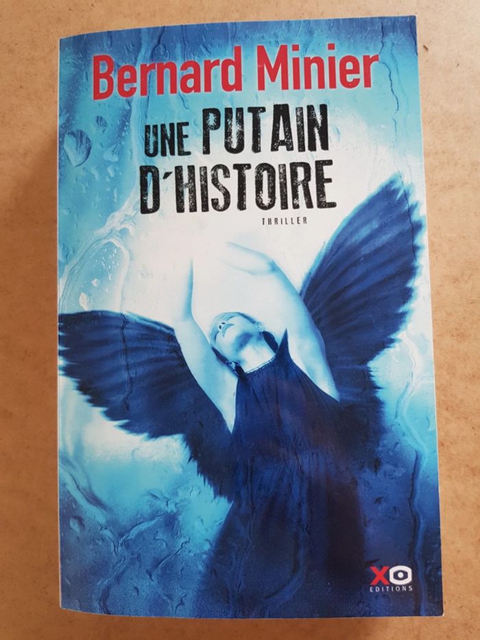 Une putain d histoire par Bernard Minier