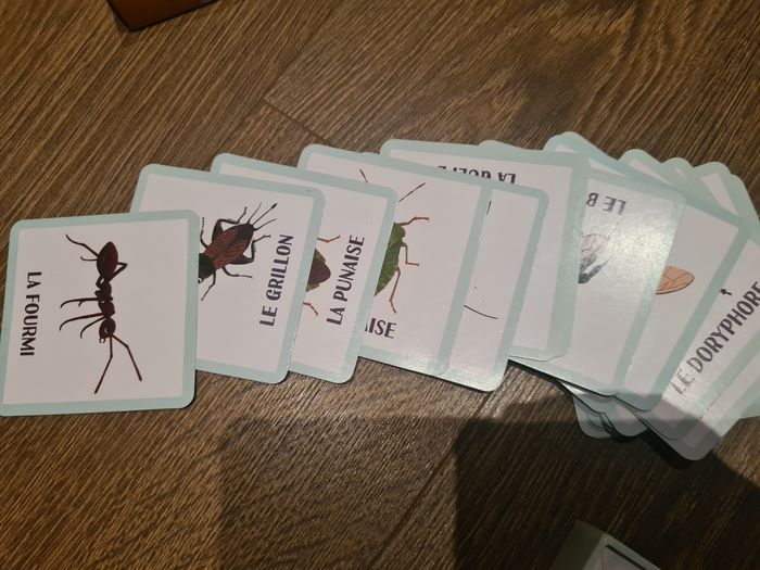 Lot de 2  jeux - photo numéro 4
