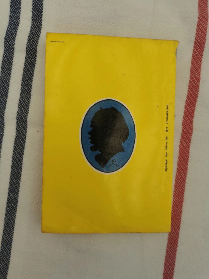 Paul Verlaine, la bonne chanson, romances sans paroles et sagesse - photo numéro 5