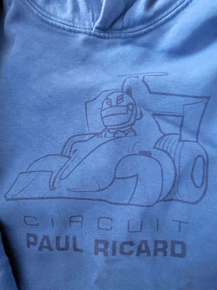 Sweat-shirt à capuche taille 10/12 ans - photo numéro 2