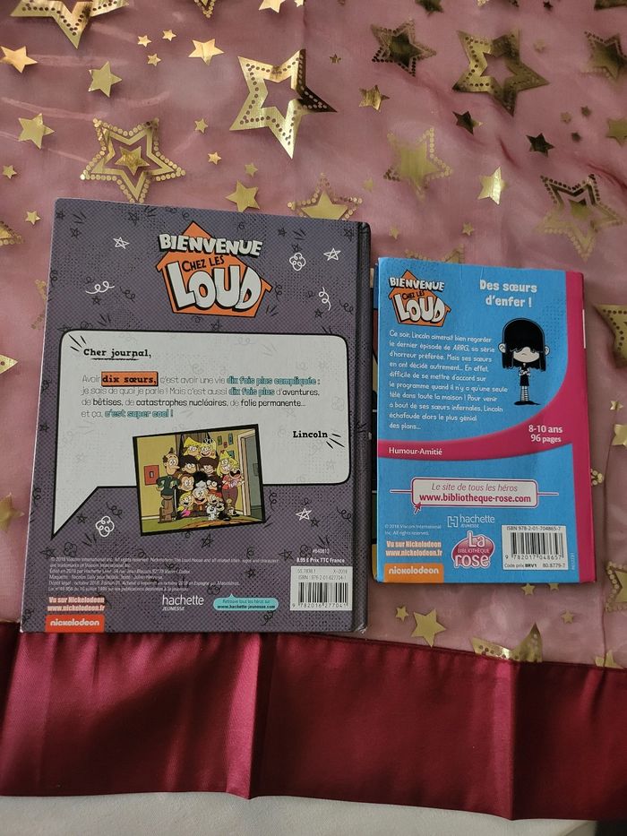 2 lots bienvenue chez les LOUD - photo numéro 2