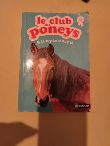Le club des poneys