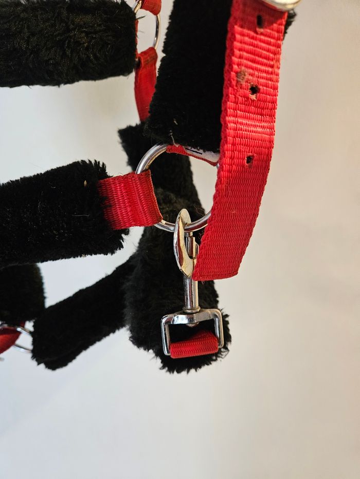 Licol taille cheval - photo numéro 2