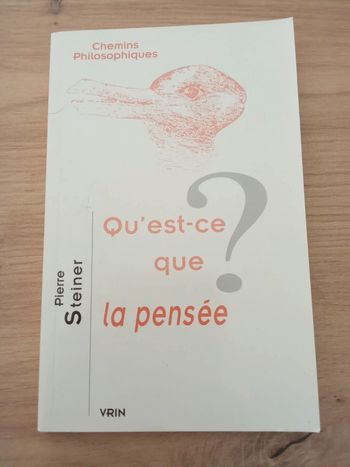 Pierre Steiner 🫧 Qu'est-ce que la pensée ?