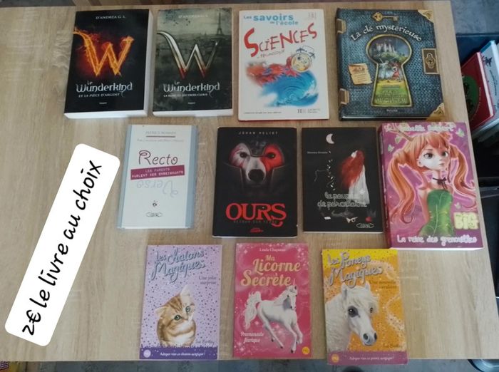 Livres - photo numéro 3