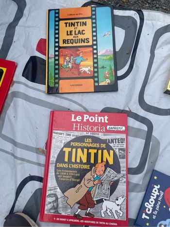 Livres tintin