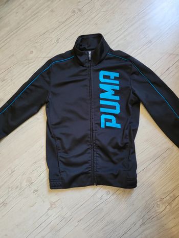 Veste sport puma