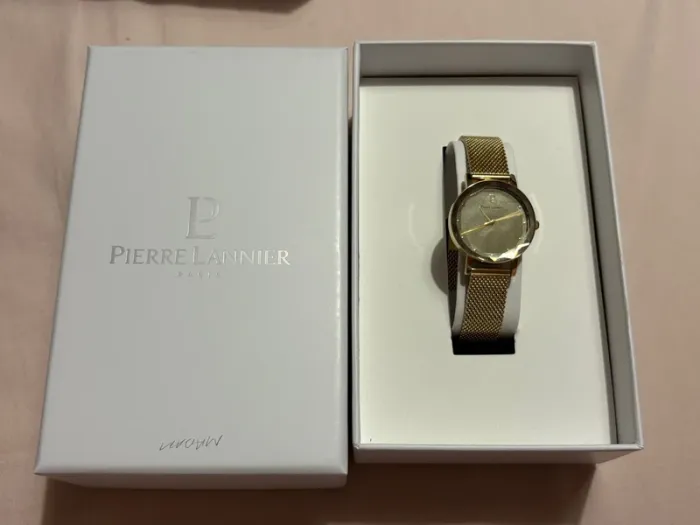 Montre Pierre Lannier