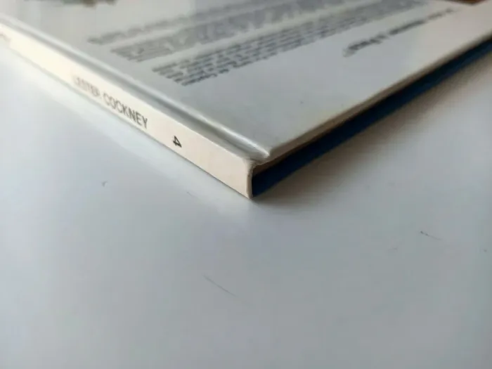 BD lester cockney tome 4 je veux retourner a pecs (éditions dublombard) - photo numéro 5