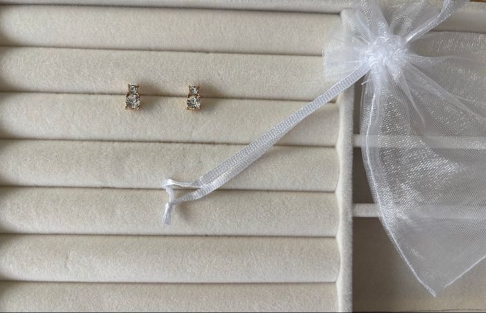 Boucles d’oreilles dorées - photo numéro 2