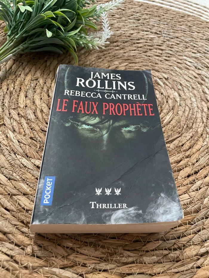 Livre - Le Faux Prophète - photo numéro 2
