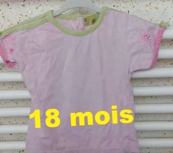 Tee shirt manche  courte  rose vert  eau  Tom &  Kiddy Taille 18  mois