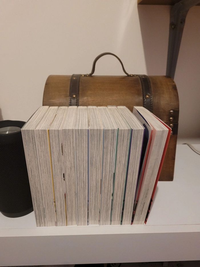 Manga Mirai Nikki tome 1 à 10 - photo numéro 3