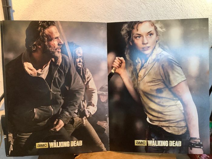 Livre poster Walking Dead volume 2 - photo numéro 5