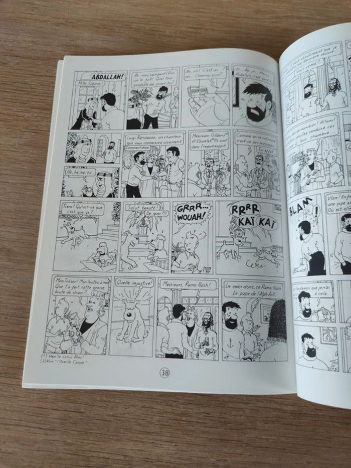 Tintin l'alph-art - photo numéro 3