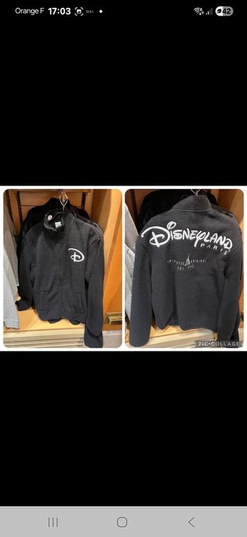 Polaire gilet disneyland paris