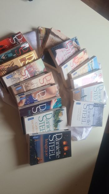 Lot de 17 romans de Danielle Steel 