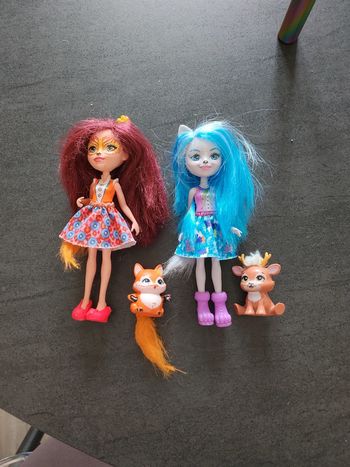 Lot de 2 poupée enchantimals