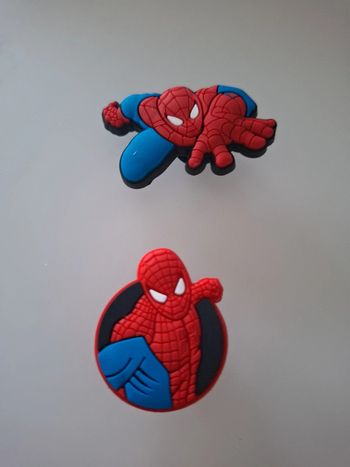 Lot de 2 charms