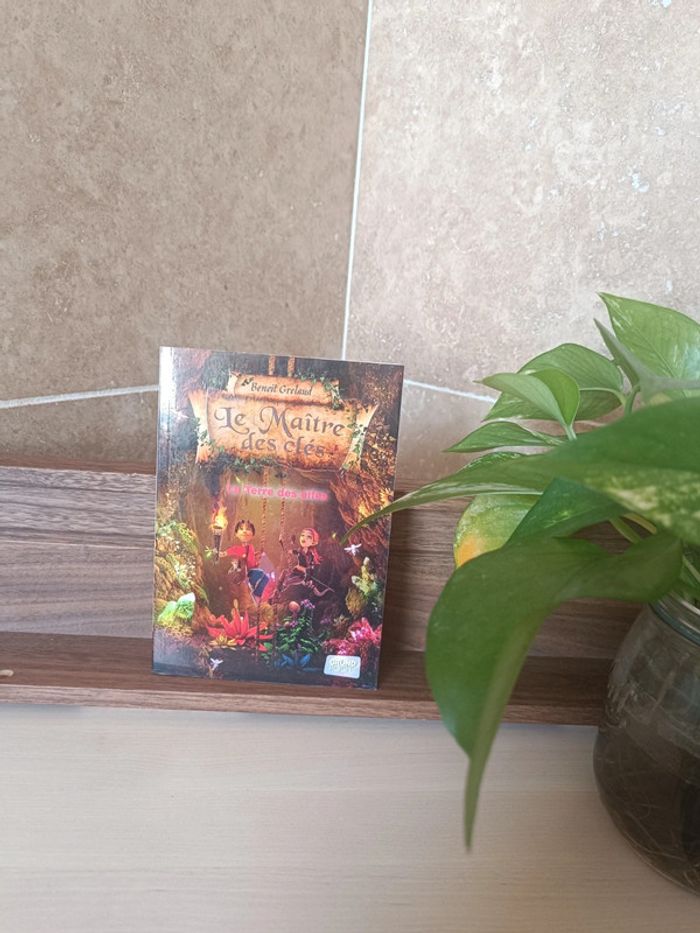 Livre le maître des clés - photo numéro 1