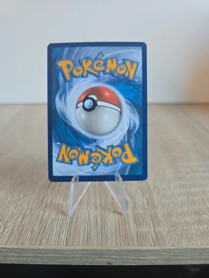 Spinda 141/195 - photo numéro 6