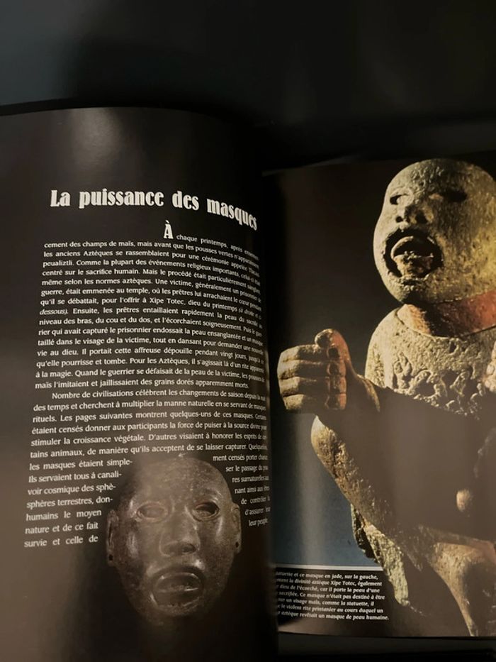 Attention à ne pas lettre entre toutes les mains ! 3 livres ésotériques - photo numéro 12