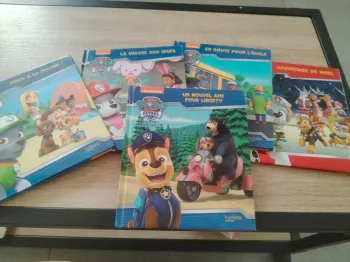 Lot 5 livres Pat Patrouille