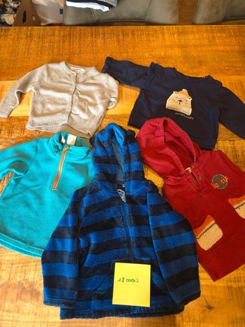 Lot Pulls et gillets