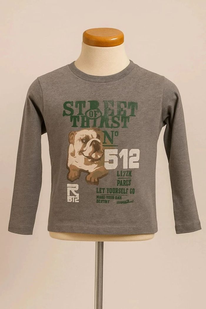 Tee shirt manche longue gris motif multicolore RG 512 Taille 6 ans - photo numéro 2