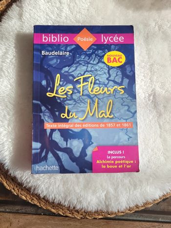 Les fleurs 🌸 du mal. Baudelaire