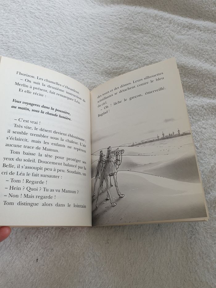 Livre la cabane magique tome 29 - photo numéro 5