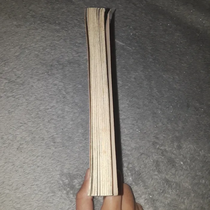 Manga hana yori dango - photo numéro 5