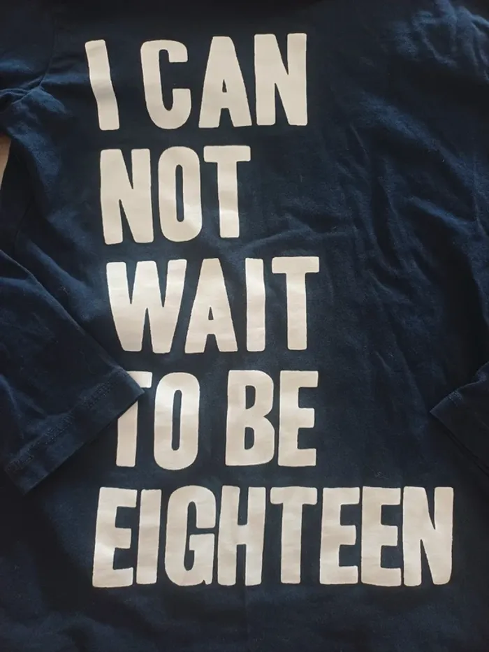 Superbe t shirt manches longues 4 ans garçon - photo numéro 2