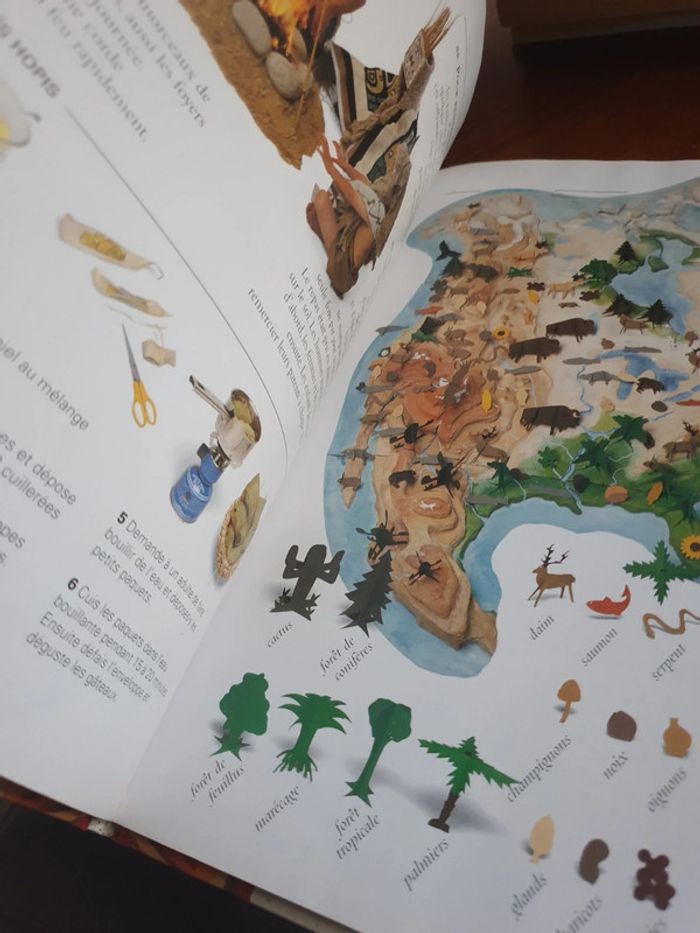 Livre Les Indiens d'Amérique - photo numéro 3