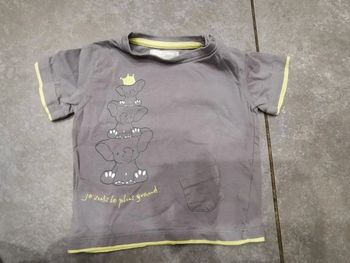 Tee shirt manches courtes mes petits cailloux 12 mois 74 cm