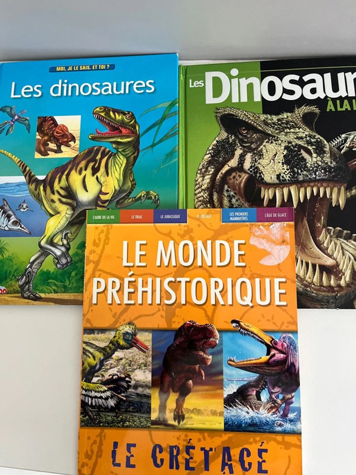 Lot de 3 livres dinosaures