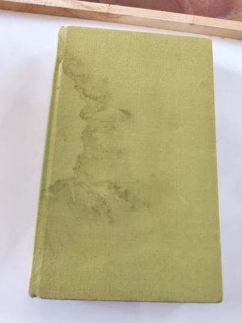 La Maison de Jade, roman de Madeleine Chapsal