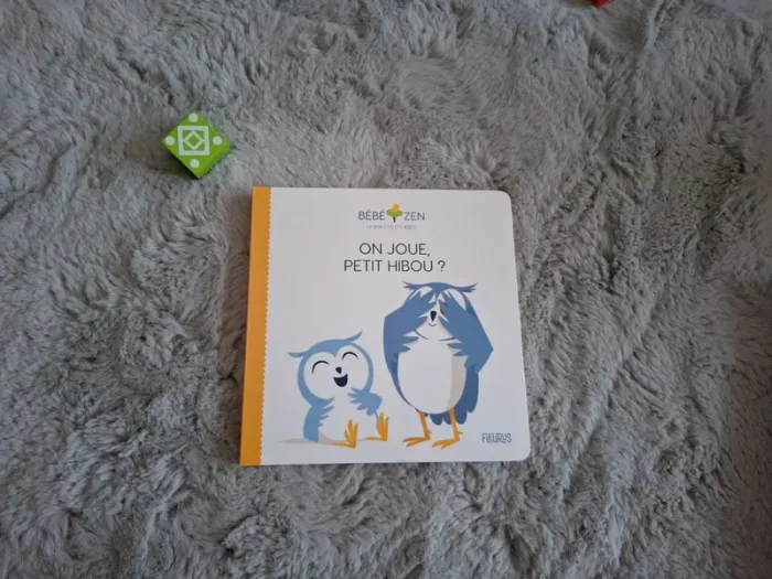 Livre "On joue, petit hibou ?"