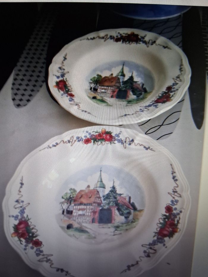 Lot de 2 assiettes creuses " sarreguemines "