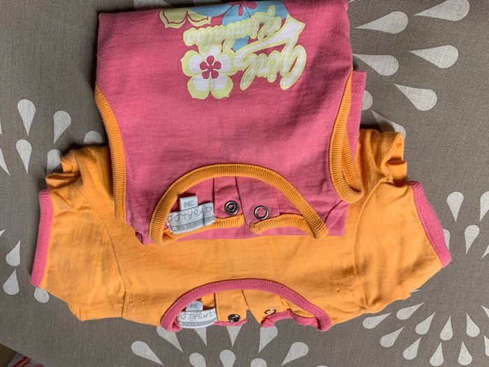 Lot 2 bodies