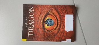 Le dernier dragon