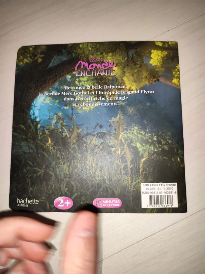 Livre raiponce - photo numéro 2