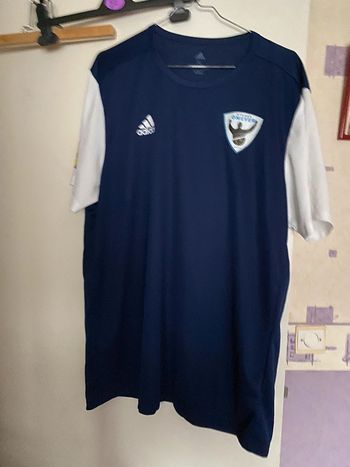 TEE shirt adidas foot