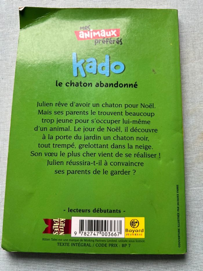 Kado le chaton abandonné - photo numéro 2