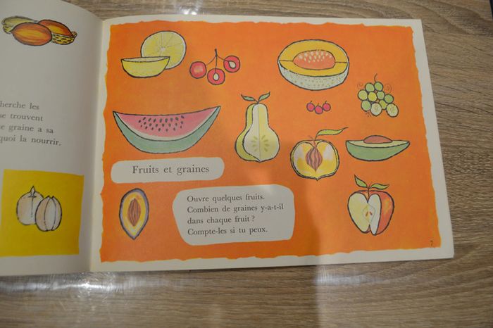 Livre la joie d'apprendre je vois j'observe je comprends les presses d'or - photo numéro 2