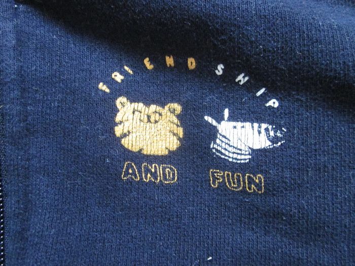 Veste à capuche zippée 12 mois - photo numéro 3