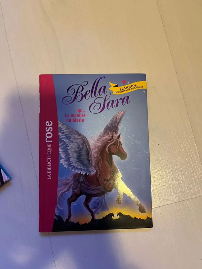 Collection Bella Sara de la Bibliothèque rose - photo numéro 4