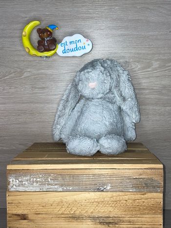 JEL119 doudou lapin 🐰 jellycat