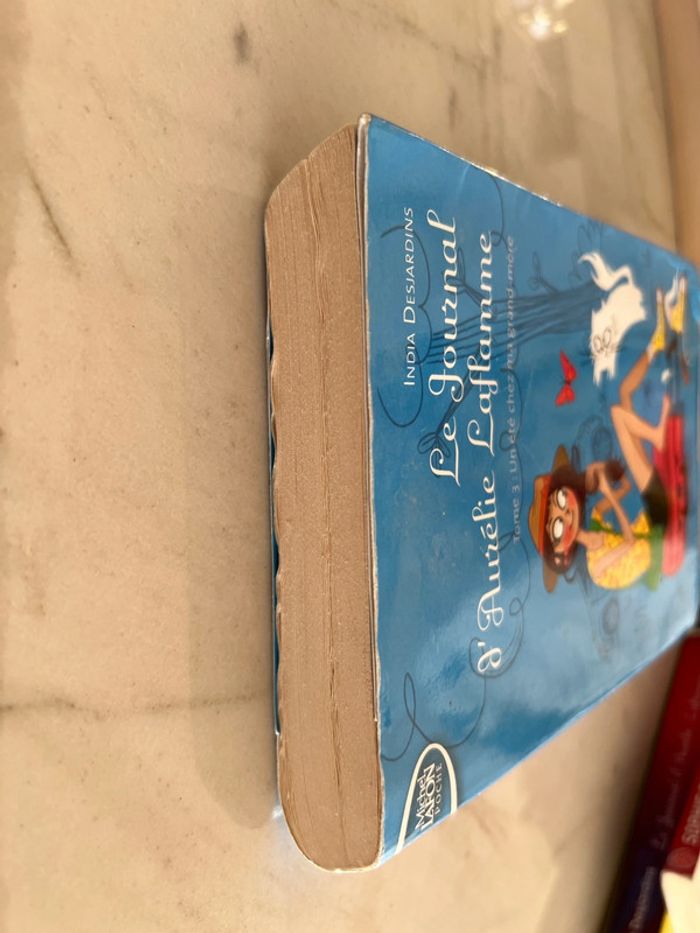 Livre « le journal d’aurelie laflamme » tome 3 - photo numéro 5